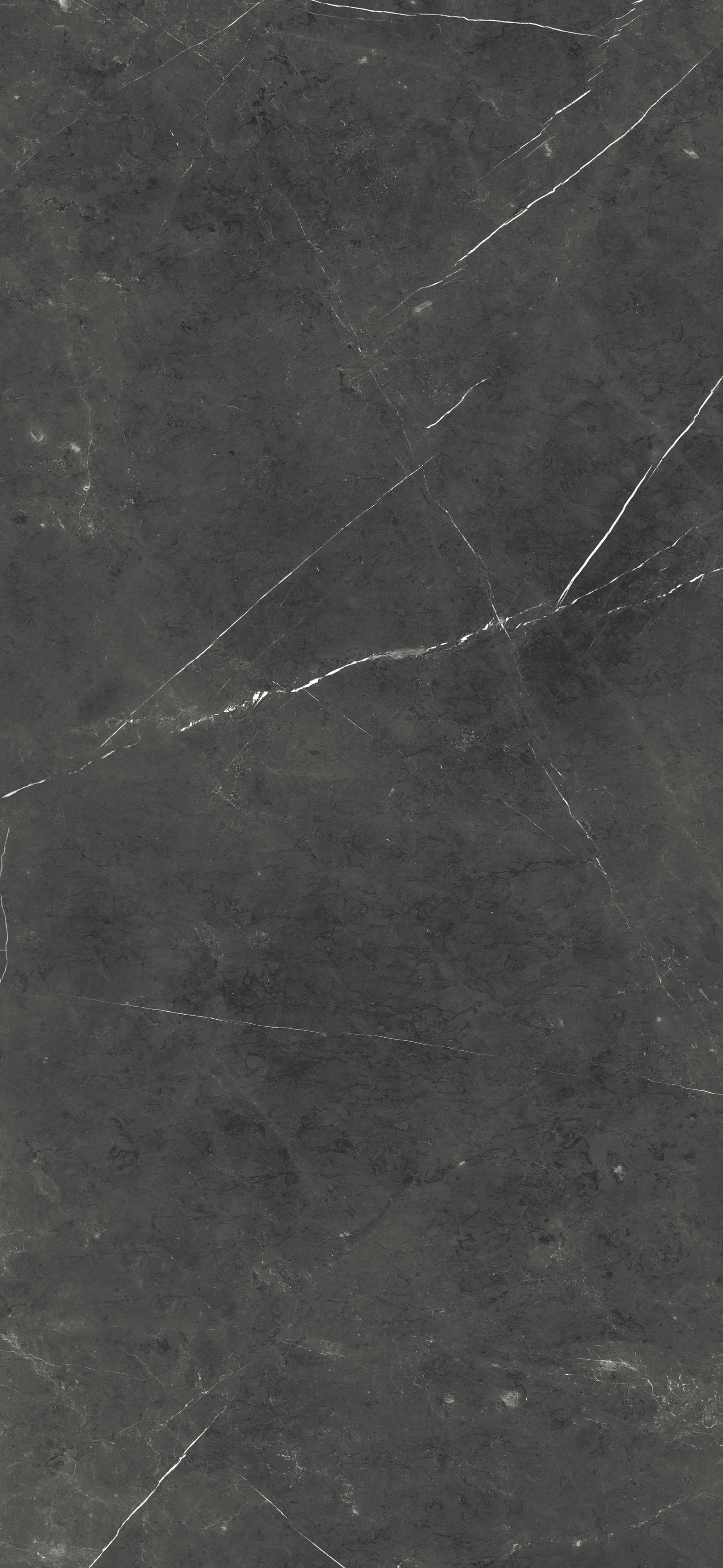 Paladio 5.6 mm